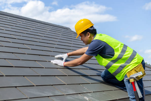 Best Roof Gutter Cleaning  in Presquille, LA