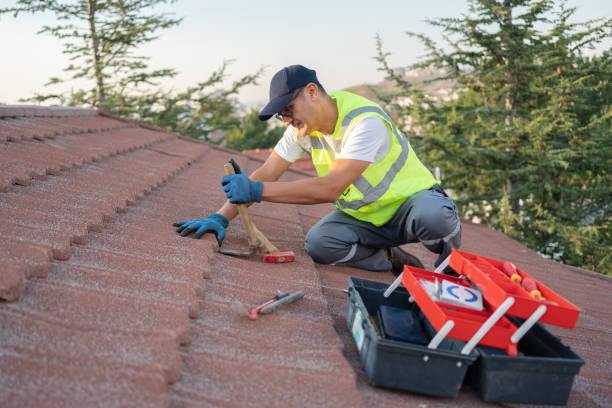 Best Roof Maintenance Services  in Presquille, LA
