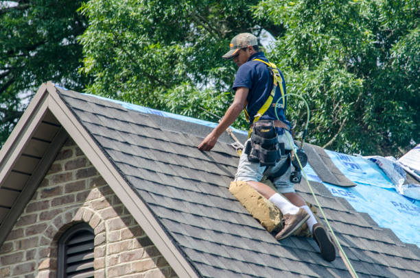 Best Flat Roof Repair Services  in Presquille, LA